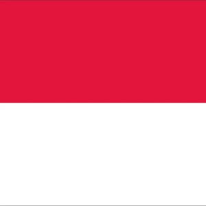 Indonesische Flagge (1)